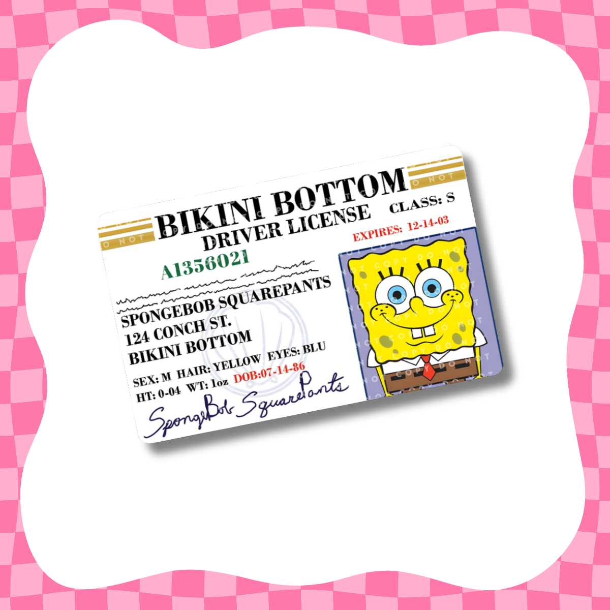 Sea Drivers License Card Skin