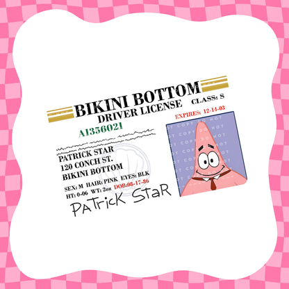 Sea Drivers License Card Skin
