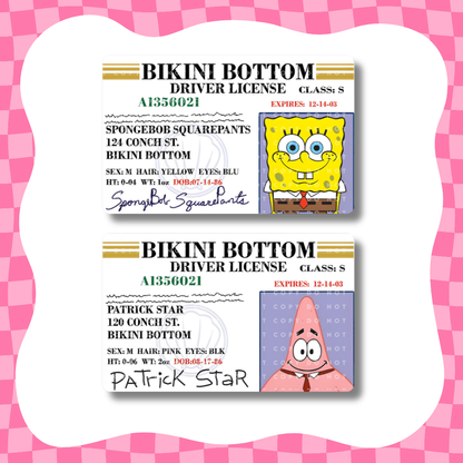 Sea Drivers License Card Skin