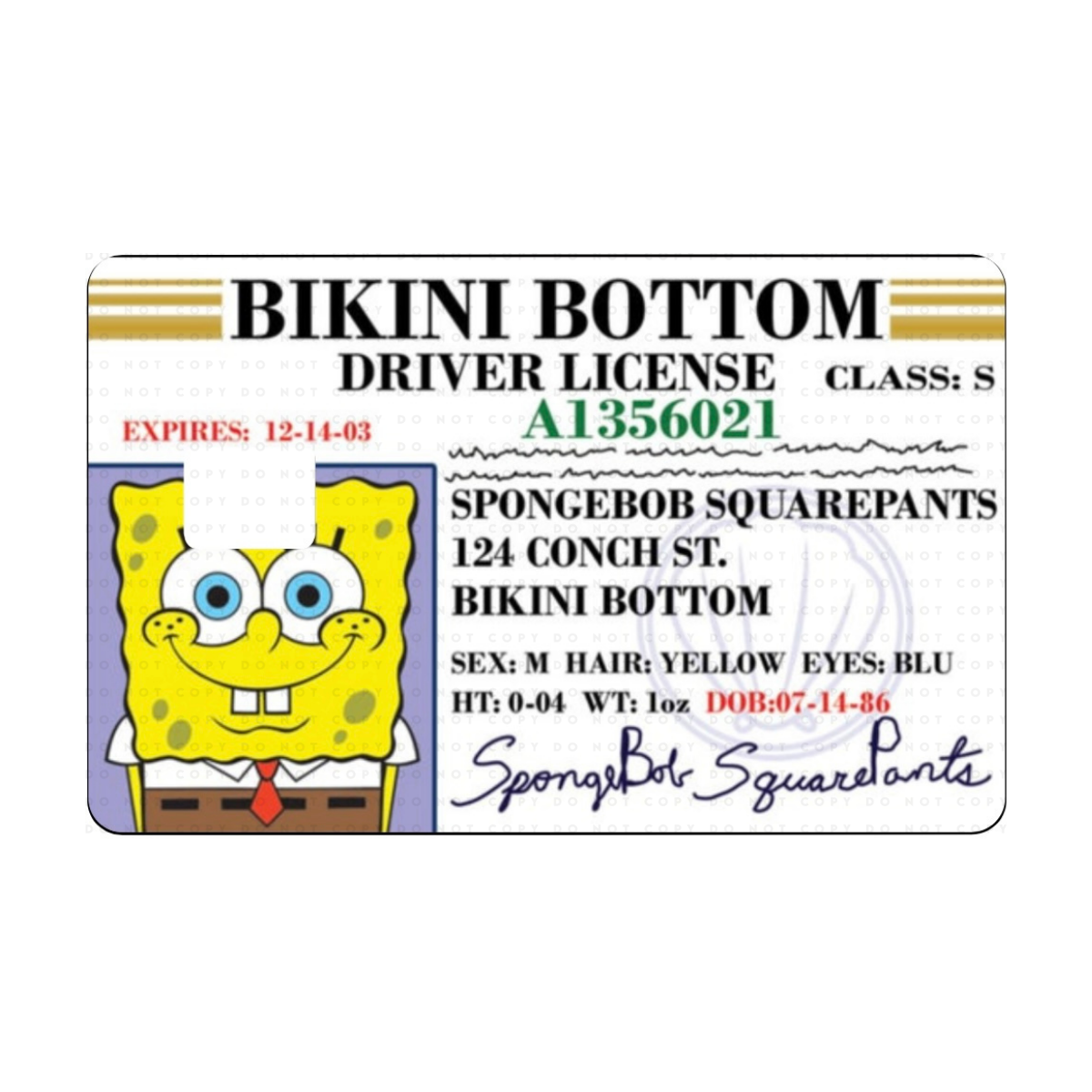 Sponge Drivers License Card Skin